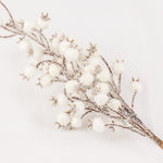 Load image into Gallery viewer, BAF006