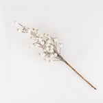 Load image into Gallery viewer, BAF006