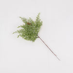 Load image into Gallery viewer, Green twig - BAF011