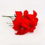 Load image into Gallery viewer, Red poinsettia 5 flowers - BAF035