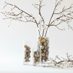 Load image into Gallery viewer, Clear Cylinder Glass Vase