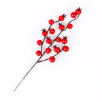 Load image into Gallery viewer, 17 Red berries - BAF004