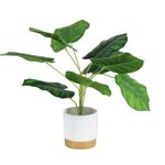 Load image into Gallery viewer, Artificial Plant