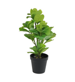 Load image into Gallery viewer, Artificial Green Peperomia Plant