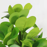 Load image into Gallery viewer, Artificial Green Peperomia Plant