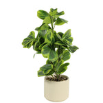 Load image into Gallery viewer, Artificial Peperomia Plant