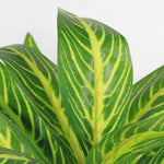 Load image into Gallery viewer, Artificial Plant