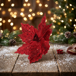 Load image into Gallery viewer, Scarlet Veined Poinsettia