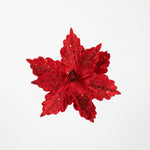 Load image into Gallery viewer, Scarlet Veined Poinsettia