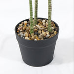 Load image into Gallery viewer, Artificial Plant