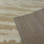 Load image into Gallery viewer, Beige Wavy Abstract Rug