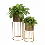 Load image into Gallery viewer, Gold Woven-Design Plant Stands