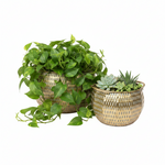 Load image into Gallery viewer, Gold Hammered Planter Bowl