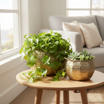 Load image into Gallery viewer, Gold Hammered Planter Bowl