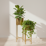 Load image into Gallery viewer, Gold Cylinder Plant Stand