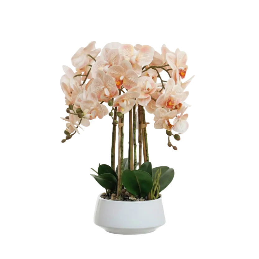 Artificial Blush Orchid Arrangement