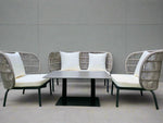 Load image into Gallery viewer, Winston Outdoor Sofa Set