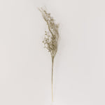 Load image into Gallery viewer, Champagne Branch  70cm - BAF081
