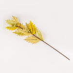 Load image into Gallery viewer, Holly Spring - BAF033
