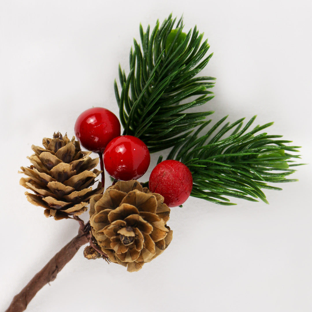 Berry pine 10cm - BAF013