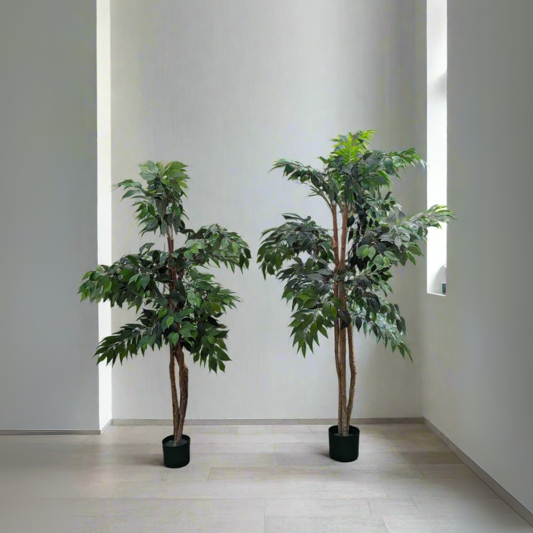 Realistic Artificial Ficus Tree