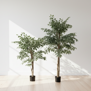 Artificial Lacy Ficus Tree