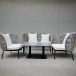 Load image into Gallery viewer, Winston Outdoor Sofa Set
