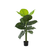 Artificial Dieffenbachia Plant