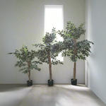 Load image into Gallery viewer, Realistic Artificial Ficus Tree
