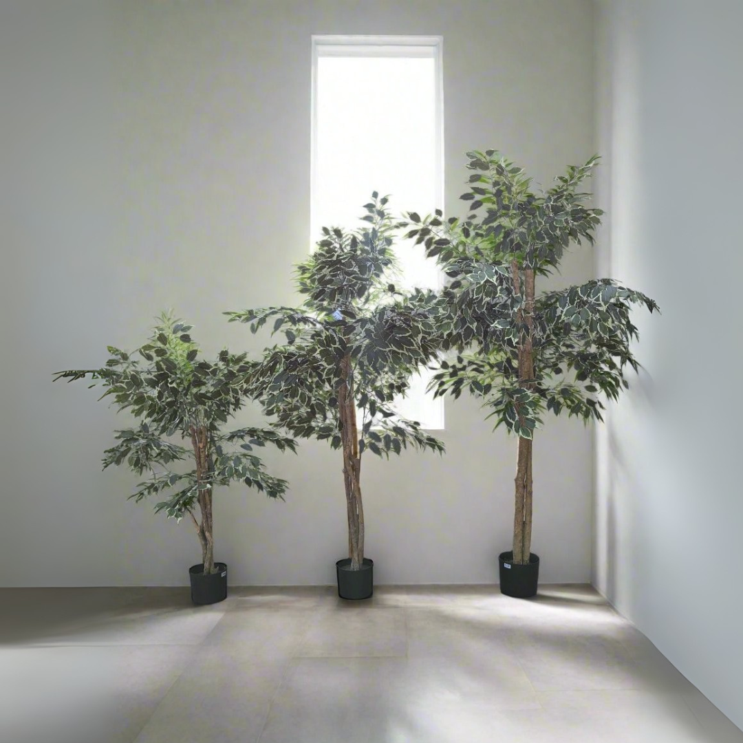 Realistic Artificial Ficus Tree