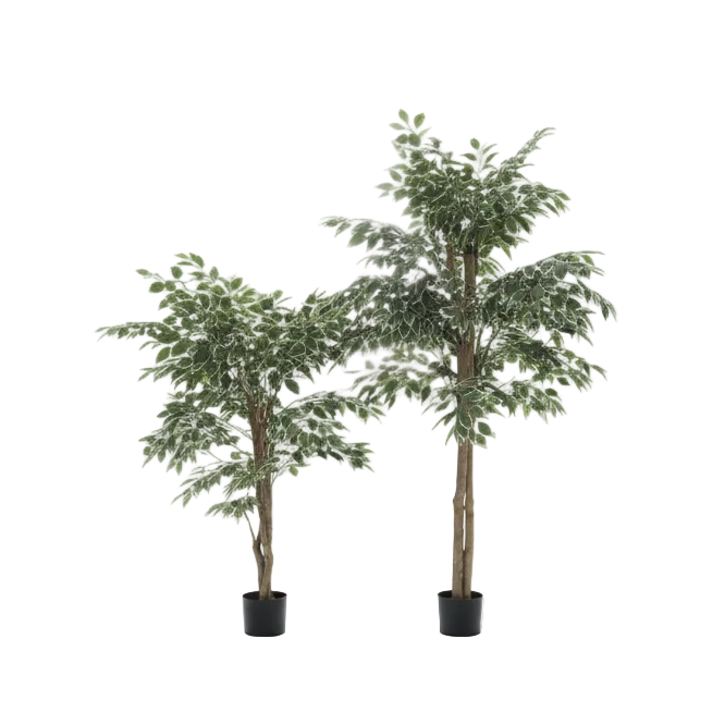 Realistic Artificial Ficus Tree