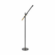 Adjustable Floor Lamp