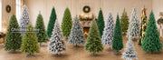 collection Christmas Trees