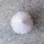 Load image into Gallery viewer, 25cm White Tree MIN011
