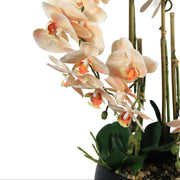 Artificial Peach Orchid Arrangement