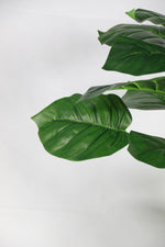 Load image into Gallery viewer, Artificial Plant

