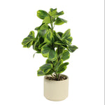 Load image into Gallery viewer, Artificial Plant

