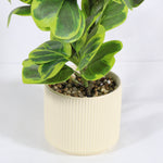 Load image into Gallery viewer, Artificial Plant
