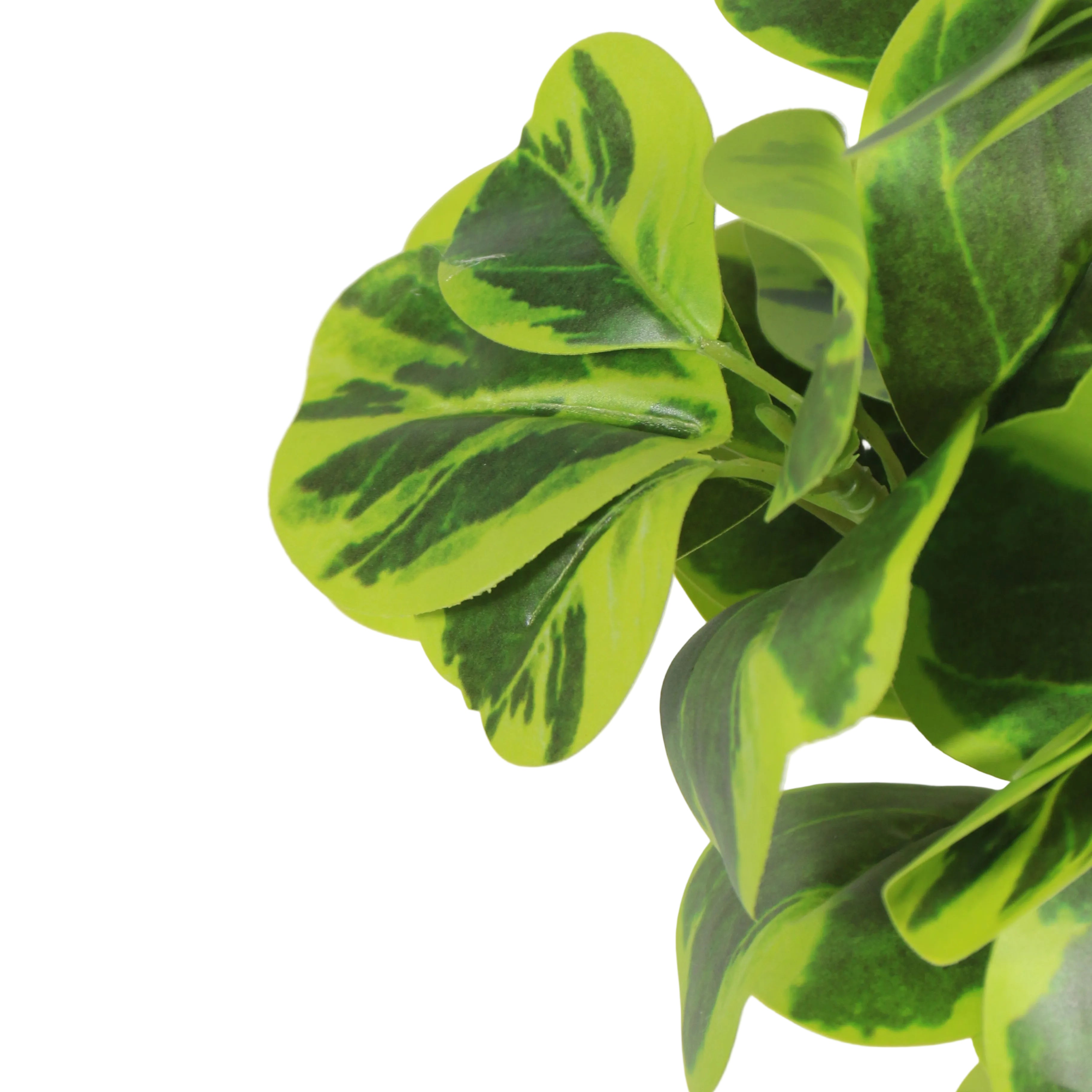 Artificial Plant