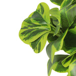 Load image into Gallery viewer, Artificial Plant
