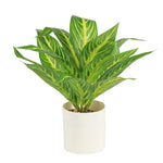 Load image into Gallery viewer, Artificial Plant
