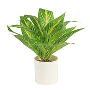 Artificial Aglaonema Plant
