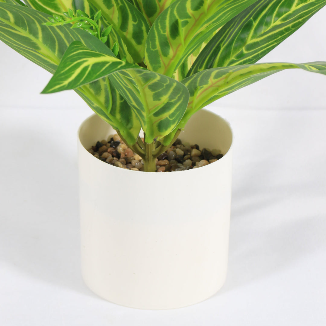 Artificial Plant