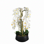 Load image into Gallery viewer, Artificial Moth Orchid Plant
