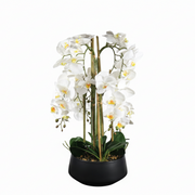 Flower Vase