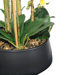Load image into Gallery viewer, Artificial Moth Orchid Plant
