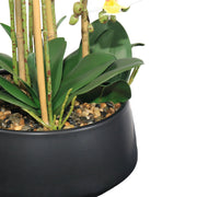 Flower Vase