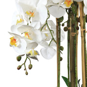 Flower Vase