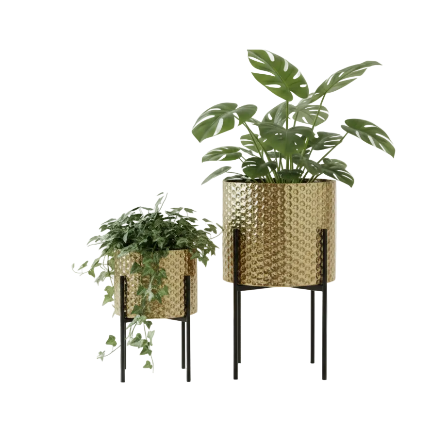 Gold Planter With Black Stand