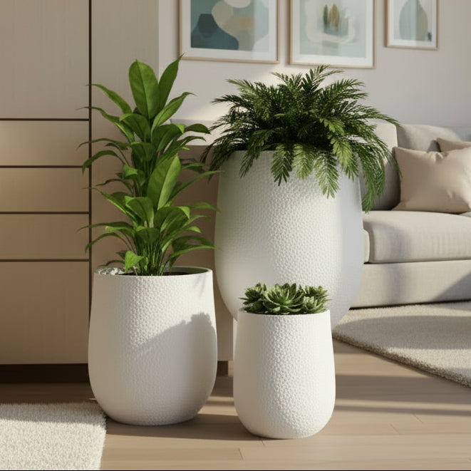White Flower Pot
